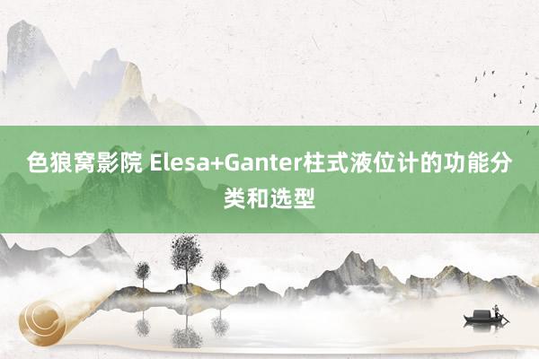 色狼窝影院 Elesa+Ganter柱式液位计的功能分类和选型