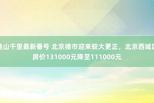 遠山千里最新番号 北京楼市迎来较大更正，北京西城区房价131000元降至111000元