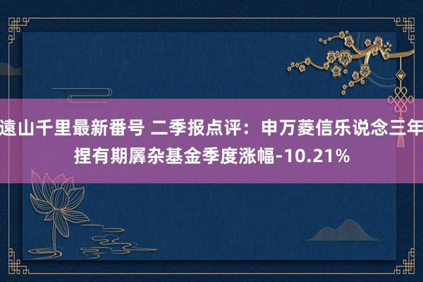 遠山千里最新番号 二季报点评：申万菱信乐说念三年捏有期羼杂基金季度涨幅-10.21%