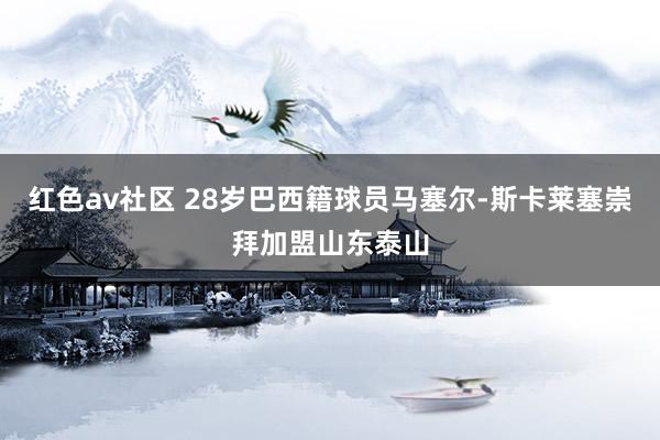 红色av社区 28岁巴西籍球员马塞尔-斯卡莱塞崇拜加盟山东泰山