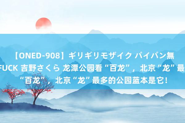 【ONED-908】ギリギリモザイク パイパン無限絶頂！激イカセFUCK 吉野さくら 龙潭公园看“百龙”，北京“龙”最多的公园蓝本是它！