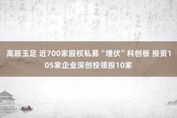 高跟玉足 近700家股权私募“埋伏”科创板 投资105家企业深创投领投10家