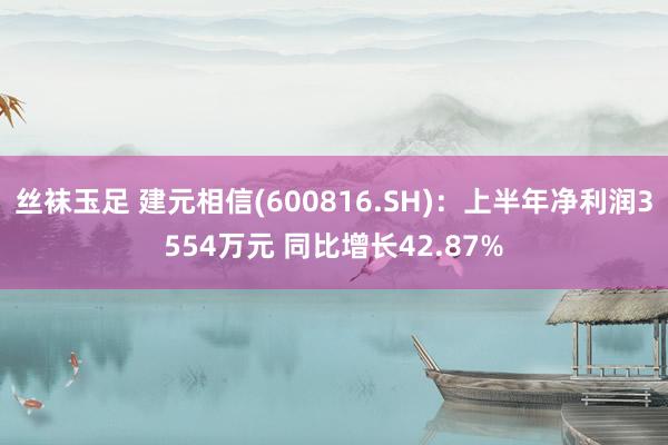 丝袜玉足 建元相信(600816.SH)：上半年净利润3554万元 同比增长42.87%