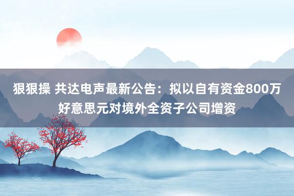 狠狠操 共达电声最新公告：拟以自有资金800万好意思元对境外全资子公司增资