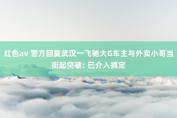 红色av 警方回复武汉一飞驰大G车主与外卖小哥当街起突破: 已介入搞定