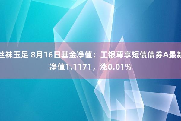 丝袜玉足 8月16日基金净值：工银尊享短债债券A最新净值1.1171，涨0.01%