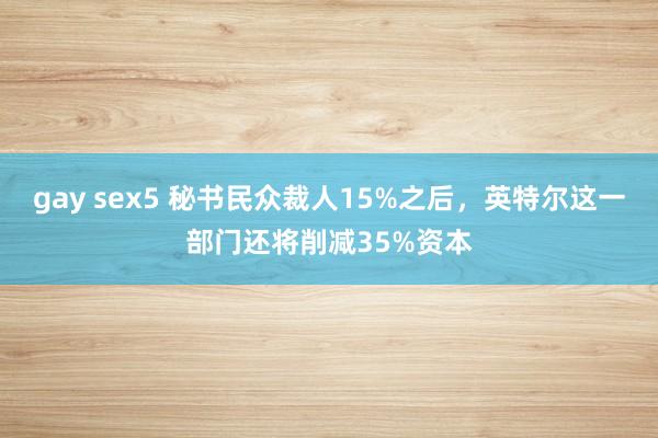 gay sex5 秘书民众裁人15%之后，英特尔这一部门还将削减35%资本