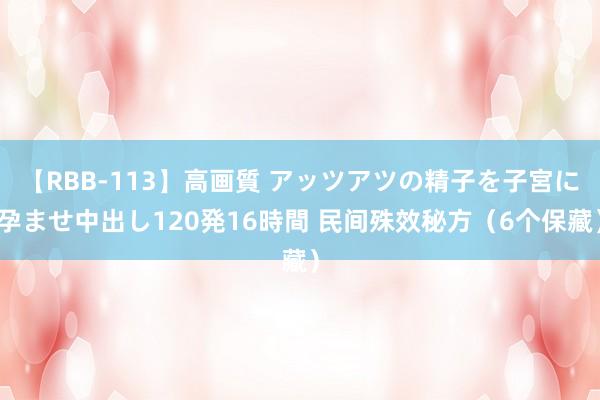 【RBB-113】高画質 アッツアツの精子を子宮に孕ませ中出し120発16時間 民间殊效秘方（6个保藏）