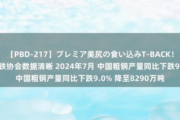 【PBD-217】プレミア美尻の食い込みT-BACK！8時間BEST 寰宇钢铁协会数据清晰 2024年7月 中国粗钢产量同比下跌9.0% 降至8290万吨