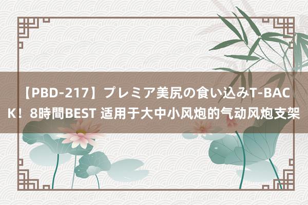 【PBD-217】プレミア美尻の食い込みT-BACK！8時間BEST 适用于大中小风炮的气动风炮支架