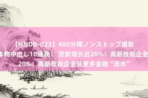 【HNDB-023】480分間ノンストップ撮影 ノーカット編集で本物中出し10連発！ 贷款增长近20%！高新技能企业获更多金融“流水”