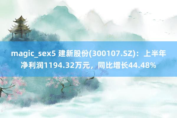 magic_sex5 建新股份(300107.SZ)：上半年净利润1194.32万元，同比增长44.48%