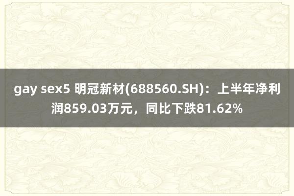 gay sex5 明冠新材(688560.SH)：上半年净利润859.03万元，同比下跌81.62%