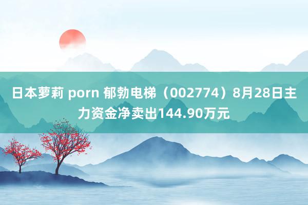 日本萝莉 porn 郁勃电梯（002774）8月28日主力资金净卖出144.90万元