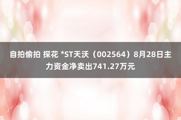 自拍偷拍 探花 *ST天沃（002564）8月28日主力资金净卖出741.27万元