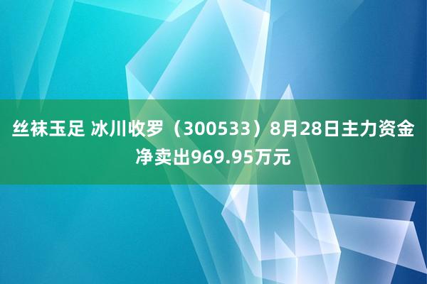 丝袜玉足 冰川收罗（300533）8月28日主力资金净卖出969.95万元