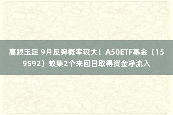 高跟玉足 9月反弹概率较大！A50ETF基金（159592）蚁集2个来回日取得资金净流入