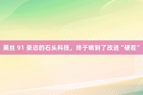 黑丝 91 豪恣的石头科技，终于啃到了改进“硬茬”