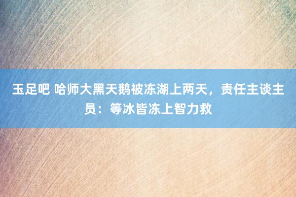 玉足吧 哈师大黑天鹅被冻湖上两天，责任主谈主员：等冰皆冻上智力救