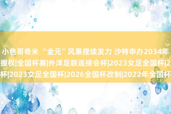 小色哥奇米 “金元”风暴捏续发力 沙特申办2034年全国杯足球赛|足协|掌握权|全国杯赛|外洋足联连接会杯|2023女足全国杯|2026全国杯改制|2022年全国杯