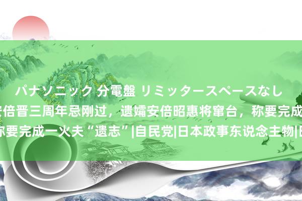 パナソニック 分電盤 リミッタースペースなし 露出・半埋込両用形 安倍晋三周年忌刚过，遗孀安倍昭惠将窜台，称要完成一火夫“遗志”|自民党|日本政事东说念主物|日本首相岸田文雄