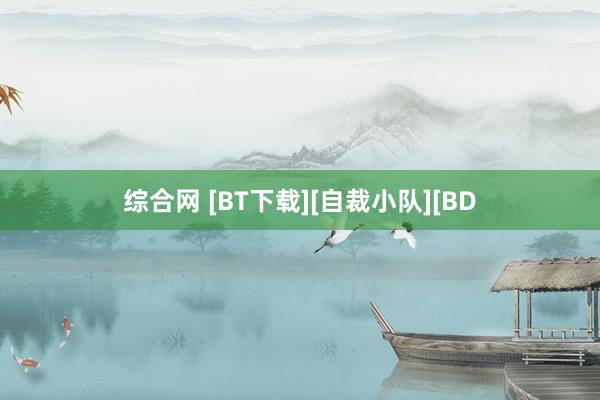 综合网 [BT下载][自裁小队][BD