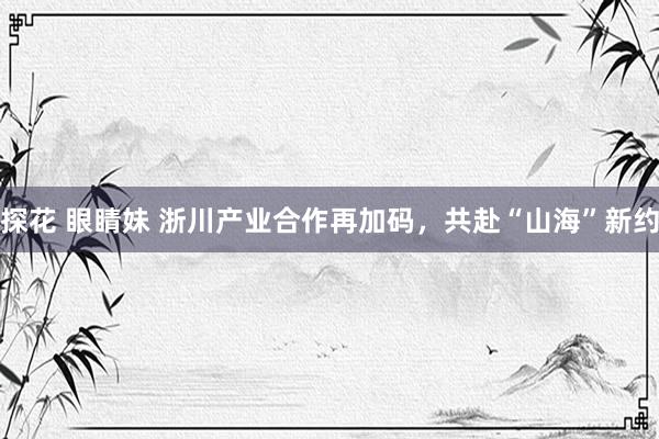 探花 眼睛妹 浙川产业合作再加码，共赴“山海”新约