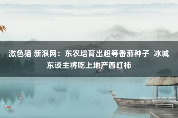 激色猫 新浪网：东农培育出超等番茄种子  冰城东谈主将吃上地产西红柿